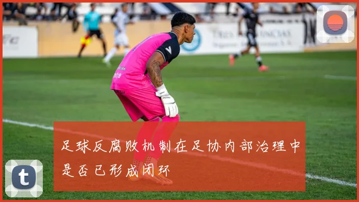 足球反腐败机制在足协内部治理中是否已形成闭环