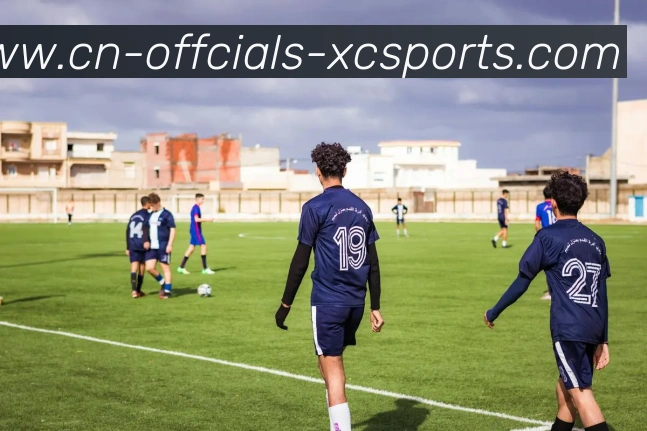 App Interface Preview