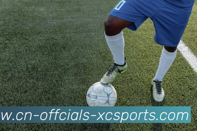 杏彩体育APP 封面图